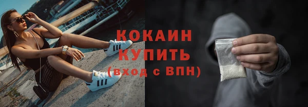 сатива Кодинск