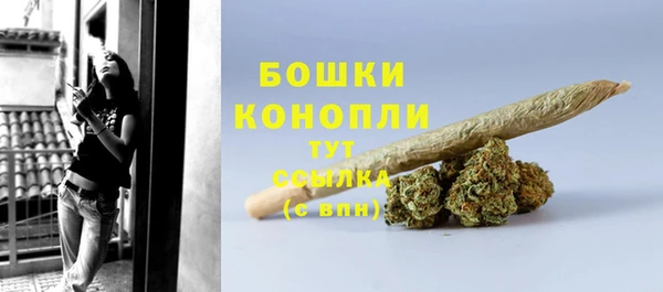 сатива Кодинск