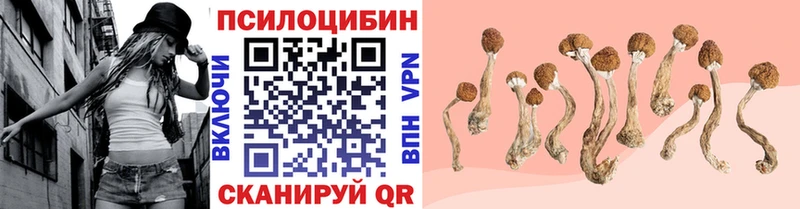 наркотики  Тбилисская  мега сайт  Галлюциногенные грибы GOLDEN TEACHER 